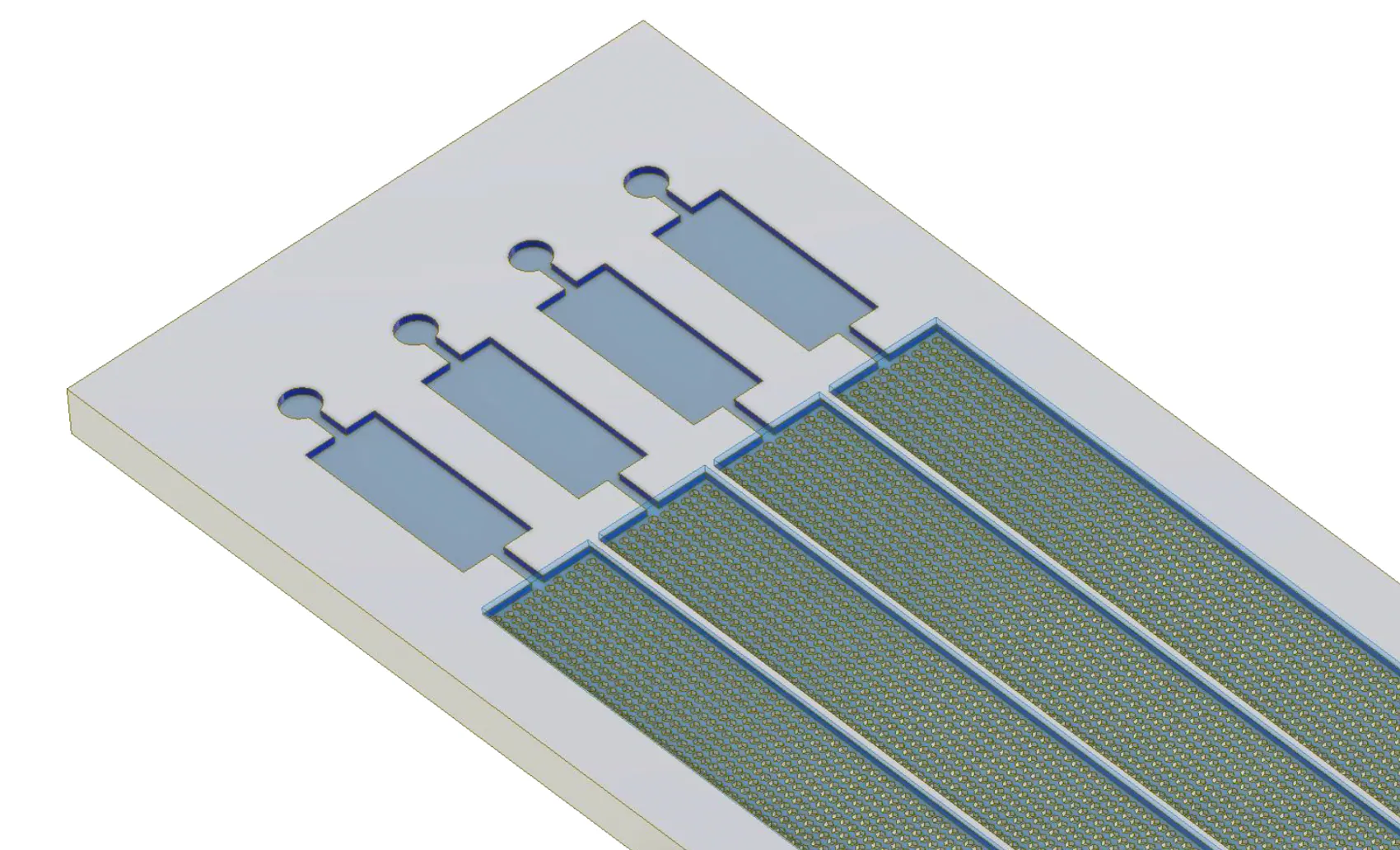 Smart Biochip Engineering